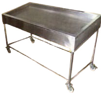 Insulated Seafood Display Counter