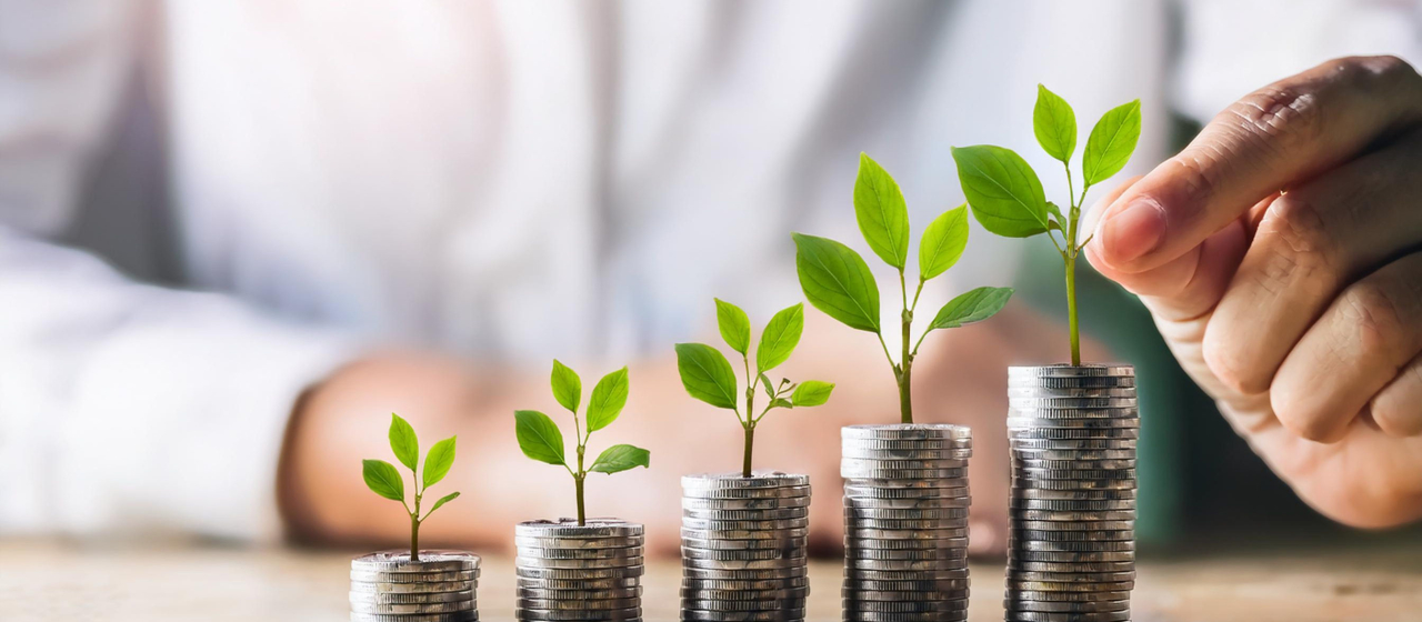 How Does Sustainability Impact A Company