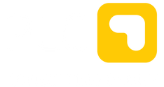 PLC Consulting Group