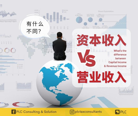 资本收入 VS 营业收入
