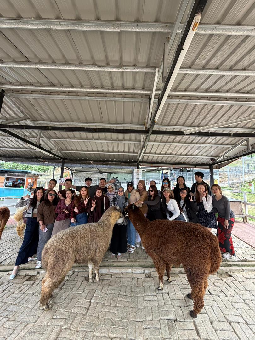 T Dental Annual Company Trip 2025 – Sabah, Kundasang