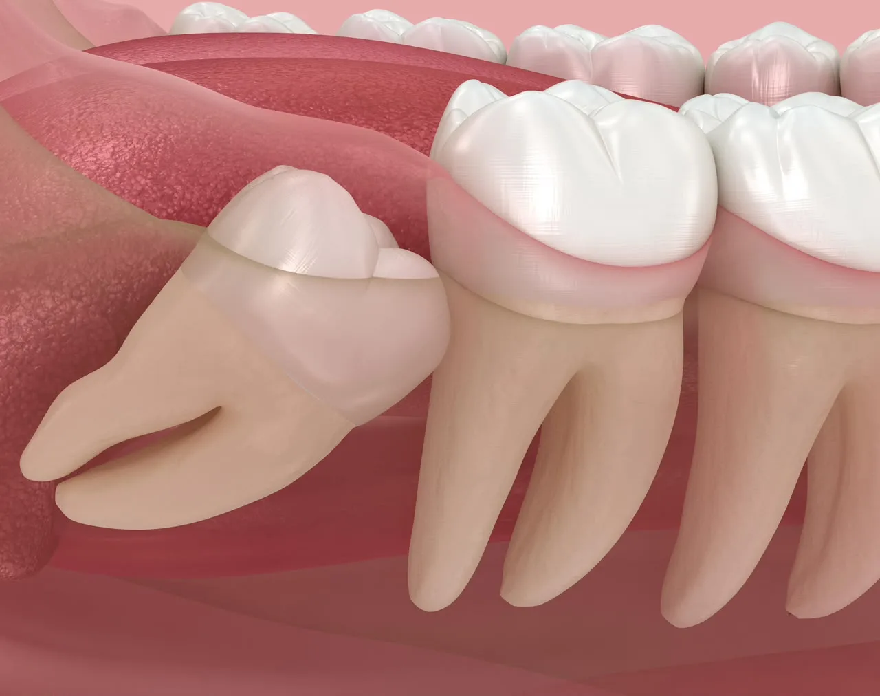 Dental service