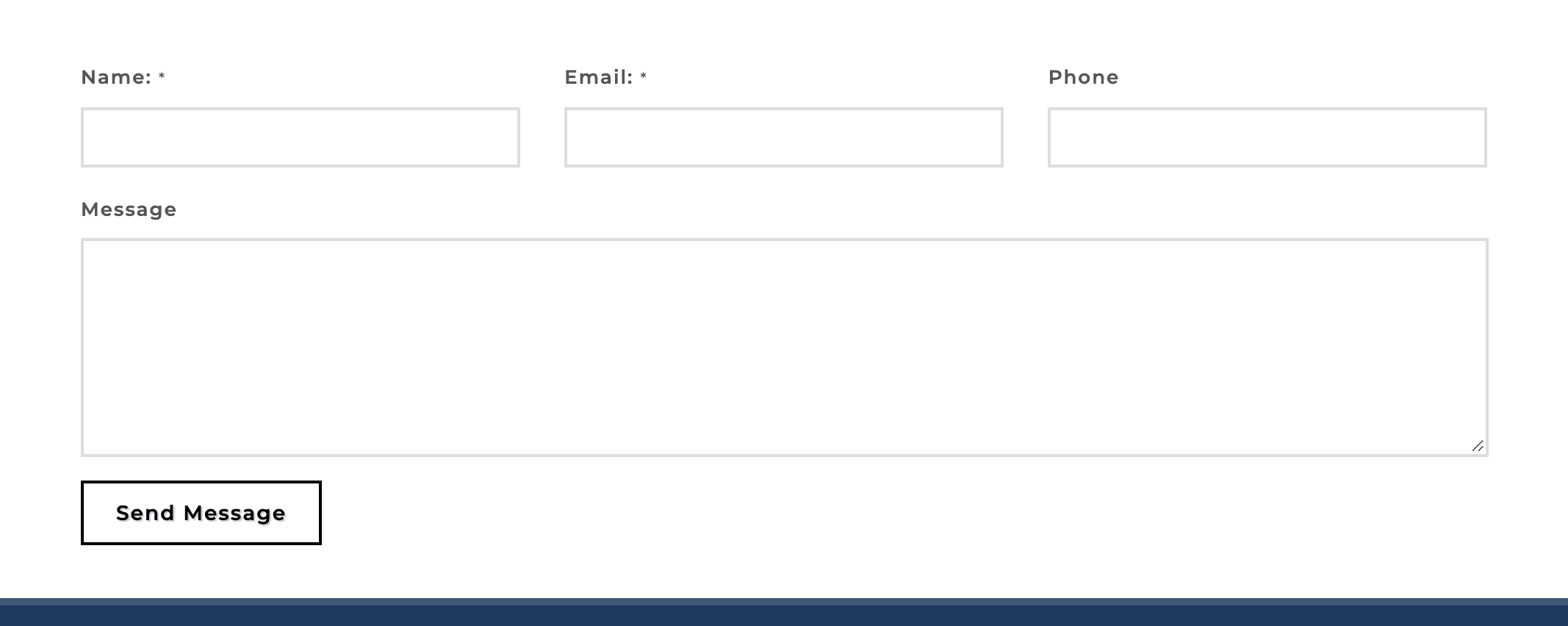 The contact form on the Contact page of the demo website
